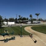 Citrus Bloom Landscape team creating a vibrant, green park with fresh grass, trees, and flower beds.
