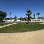 Citrus Bloom Landscape team installing greenery and flowers in a community park.