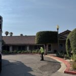 Citrus Bloom Landscape professionals shaping a tree and providing expert tree care.