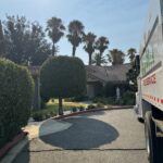 Citrus Bloom Landscape team trimming and shaping trees to improve health and appearance.