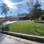 Citrus Bloom Landscape crew designing and installing a vibrant, green outdoor landscape.