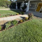 Citrus Bloom Landscape team planting trees, shrubs, and flowers to enhance a property’s outdoor space.