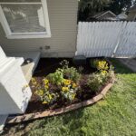 Citrus Bloom Landscape crew installing greenery and decorative plants in a residential or commercial yard.