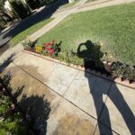 Citrus Bloom Landscape team working on a yard, planting flowers, shrubs, and trees.