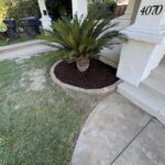 Citrus Bloom Landscape team installing fresh green grass and maintaining a healthy lawn.