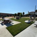 Citrus Bloom Landscape professionals designing and planting a scenic park with greenery and flowers.