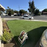 Citrus Bloom Landscape professionals laying new sod and maintaining a vibrant green lawn.