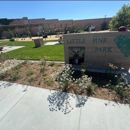 Citrus Bloom Landscape crew installing plants and greenery in a community park setting.